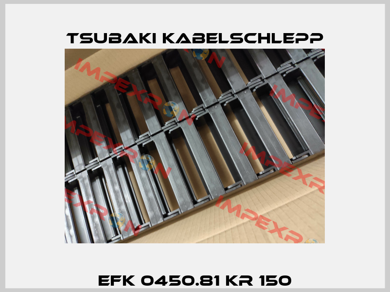 EFK 0450.81 KR 150 Tsubaki Kabelschlepp