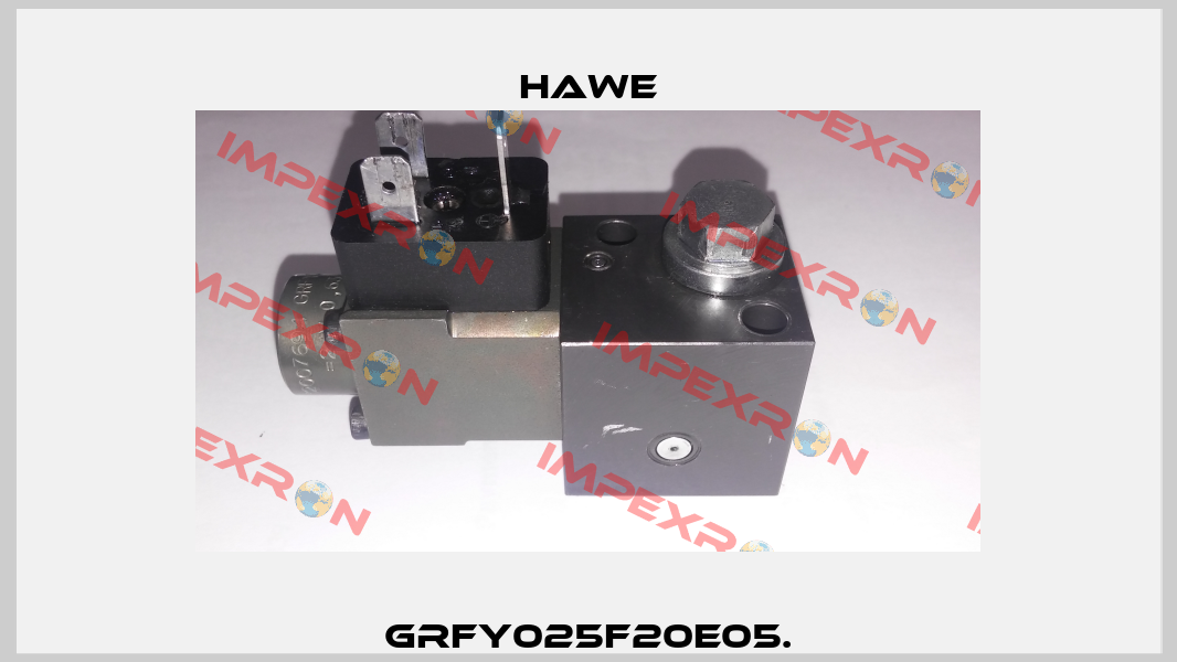 GRFY025F20E05. Hawe